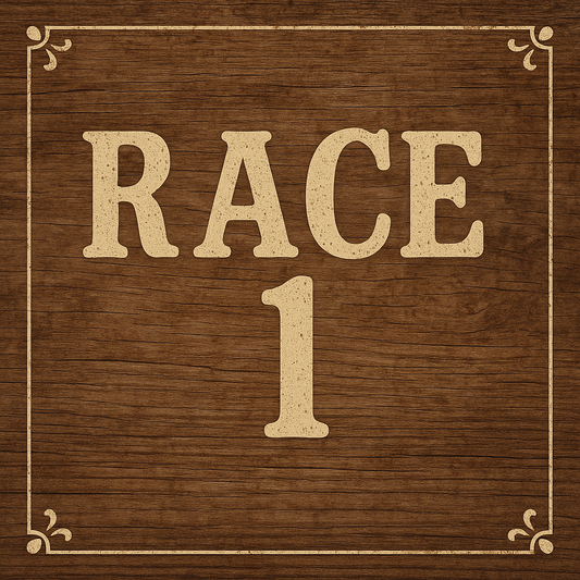 Race #1